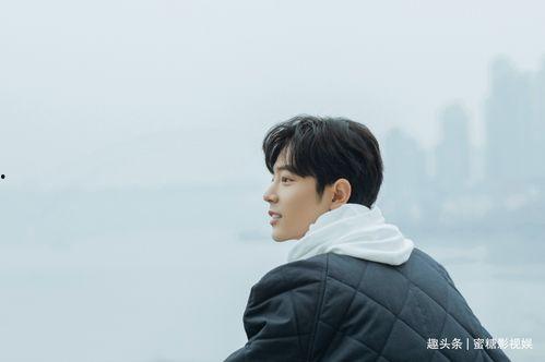 肖战感情爆料视频大全集,揭秘视频大全集背后的真相与争议  第1张